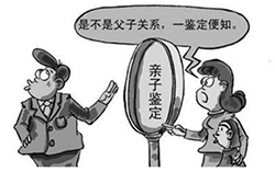 舟山群岛个人DNA亲子鉴定收费多少钱，舟山群岛匿名亲子鉴定多久出结果