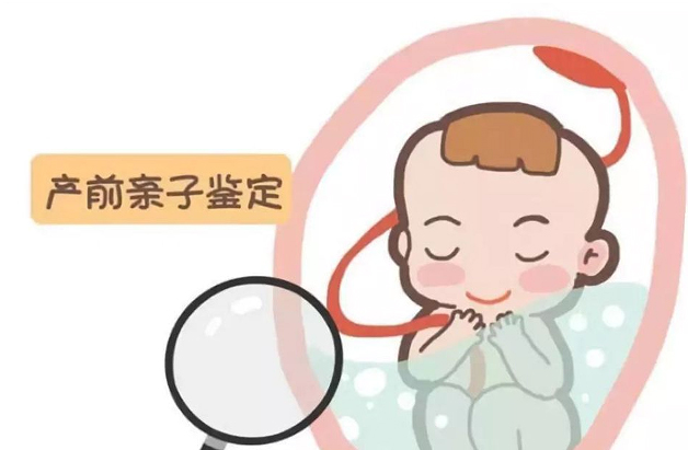 刚怀孕如何鉴定孩子父亲是谁[舟山],舟山无创怀孕亲子鉴定大概多少费用