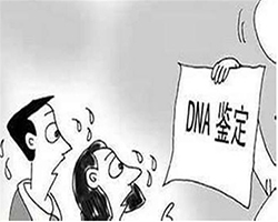 舟山偷偷做亲子鉴定如何做，舟山隐私DNA亲子鉴定流程是怎样的