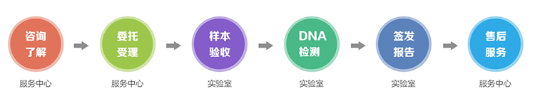 舟山隐私亲子鉴定流程