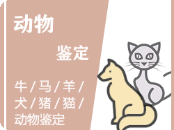 舟山动物鉴定