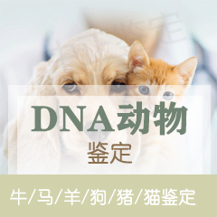 舟山动物鉴定